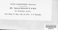Image Associated With the Occurence